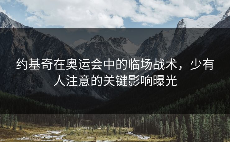 约基奇在奥运会中的临场战术,少有人注意的关键影响曝光