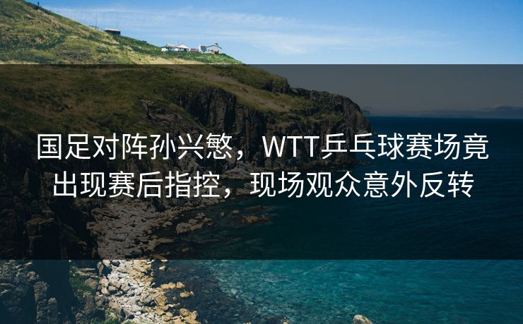 国足对阵孙兴慜,WTT乒乓球赛场竟出现赛后指控,现场观众意外反转